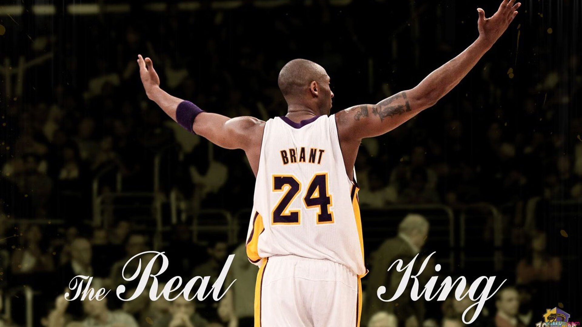 年度焦点之战之夜,当贝恩在风暴中心刻下不朽